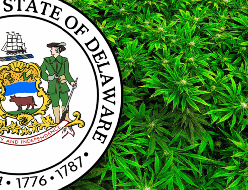 Delaware Announced the Launch Date for Legal Cannabis Sales