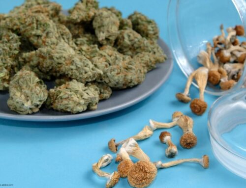 Senate Pushes for Cannabis and Psychedelics Research Amid Schedule I Restrictions