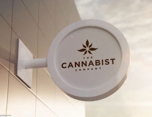 The Cannabist Co Holdings Reports Q2 2025 Financial and Operational Results