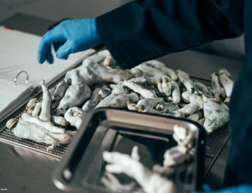 Germany Breaks Ground with EU’s First Psilocybin Compassionate Use Approval