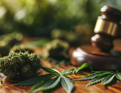 NYC Dispensaries Seek Justice in Court Over Schools Proximity Blunder