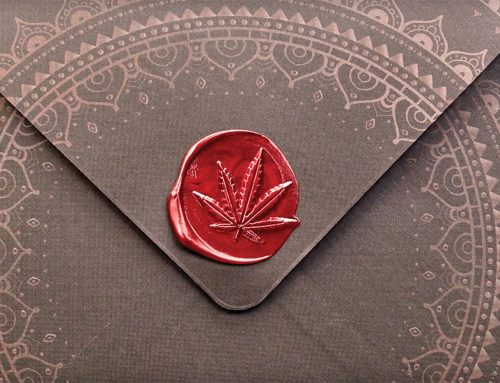 Crafting Cannabis Excellence: How Quality Builds Lasting Brands
