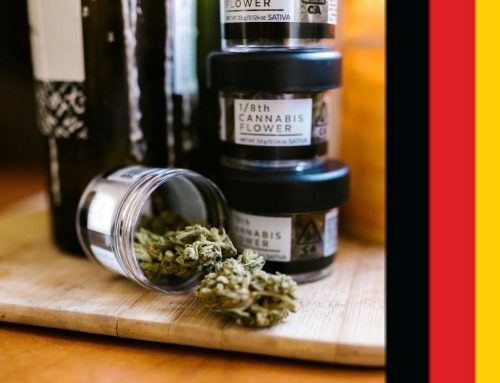 German Health Ministry Draft Sparks Patient Backlash Over Medical Cannabis Access