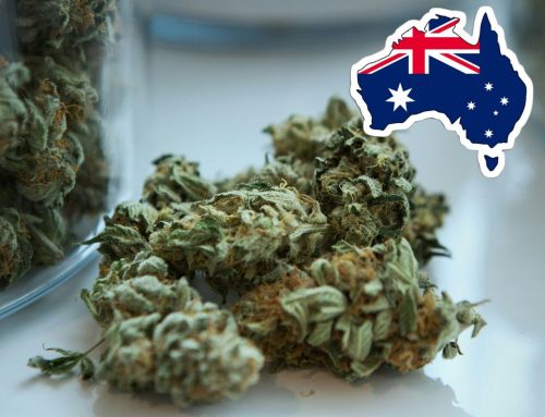 Australian Cannabis Prices Drop to New Lows, Pressuring Domestic Producers