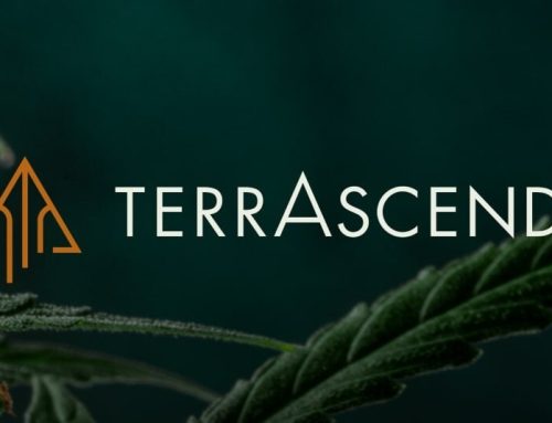 TerrAscend Reports Q2 2025 Financial Results