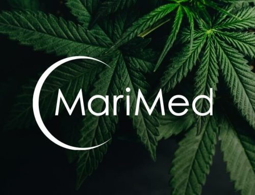 MariMed Reports Q2 2025 Financial Results