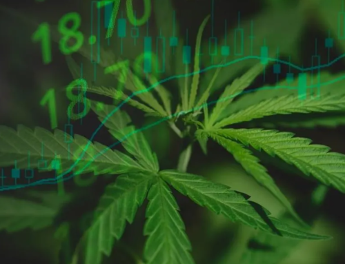 Cannabis Market Faces Inevitable Wave of Consolidations to Keep the Pace of Dynamics