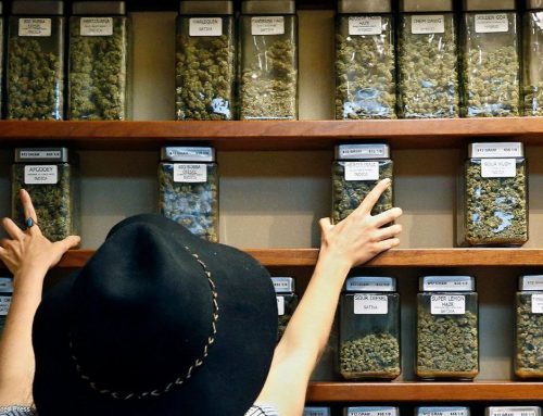 NY Regulators Delay Hearing in Bid for Settlement with Cannabis Dispensary Owners