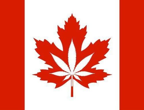 Canadian Legal Cannabis Industry Contributes $16 Billion to GDP in 2024, Report Reveals