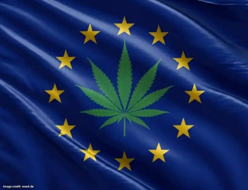 Europe’s Medical Cannabis Sector Shows Steady Expansion