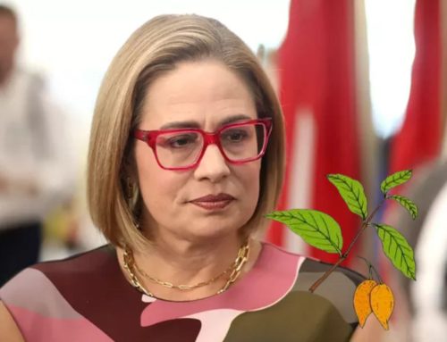 Former Arizona Senator Sinema Advocates Ibogaine Research Post-Treatment