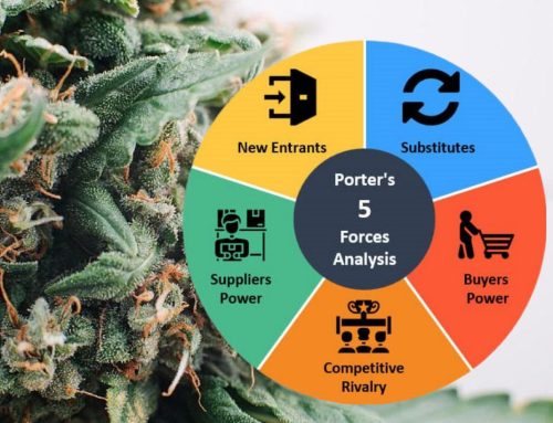 Porter’s Five Forces Unpack Cannabis Sector Pressures: Insights for 2025 Investors
