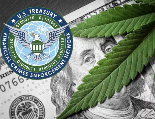FinCEN Reveals Steady Banking Access for Cannabis Businesses Despite Persistent Federal Barriers