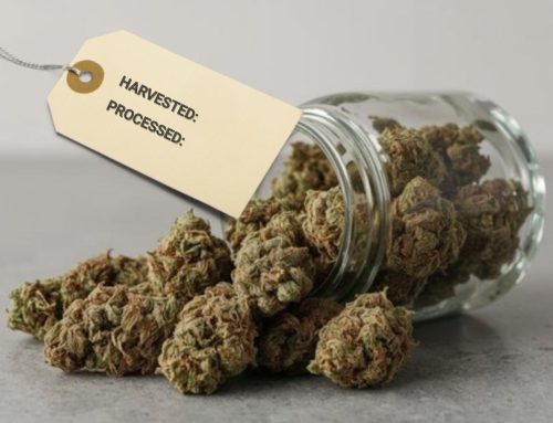 Washington State Regulators Plan to Label Cannabis with Harvest & Processing Dates