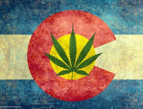 Colorado Wholesale Cannabis Prices Hit Record Low