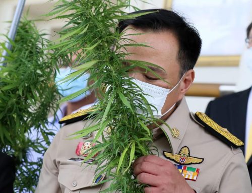 Thai PM Renews Drug Crackdown Vow as Cannabis Sector Awaits Policy Clarity