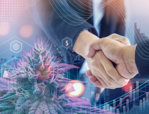 Emerald Intel Acquires Cannabiz Media, Expanding Reach in Cannabis Intelligence Sector