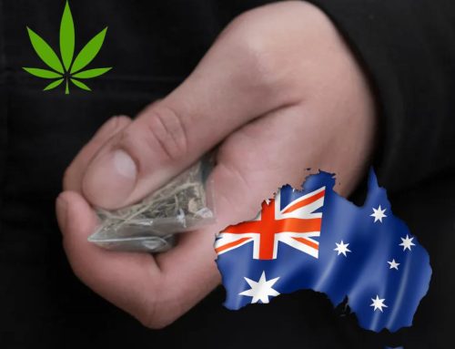 Australian Policy Group Cautions TGA on Medicinal Cannabis Restrictions, Fearing Shift to Illicit Sources