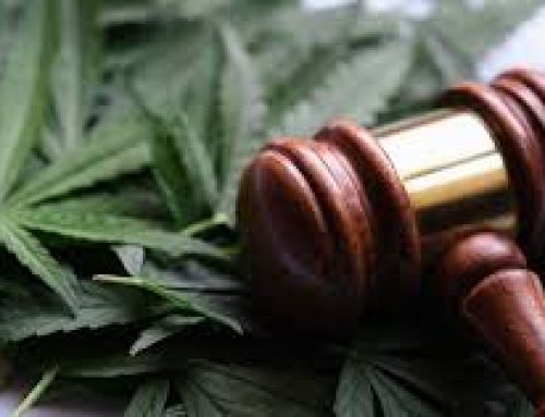 OPINION: The People Have Spoken: It’s Time to End Federal Cannabis Prohibition (and Release the Epstein Files)
