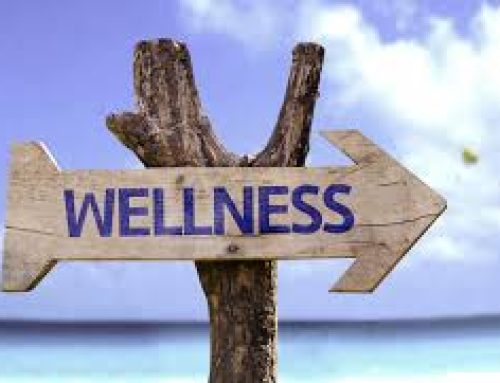 How Professional Services Firms That Serve Cannabis Can Thrive in the Wellness Industry