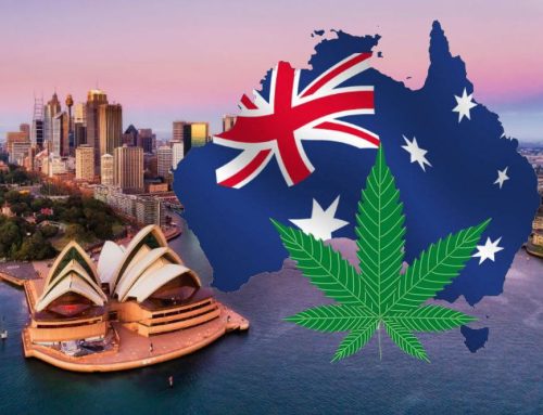 Australia’s Medicinal Cannabis Imports Hit Record Highs