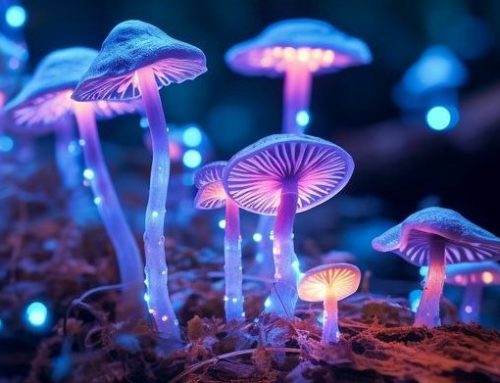 Psilocybin Review Points to Rapid Relief for Treatment-Resistant Depression