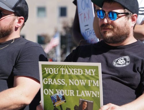 Michigan Senate Approved 24% Wholesale Cannabis Tax