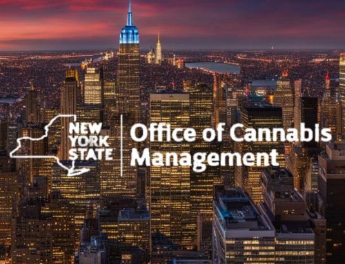 NY Cannabis Market Posts Record August Sales, OCM Reports