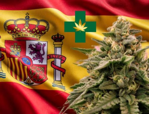 Spain Cabinet Greenlights Medical Cannabis Framework