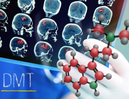 DMT Reveals Promising Potential in Stroke Recovery, Study Finds