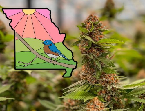 Missouri Cannabis Sales Fall to $118.9M in September