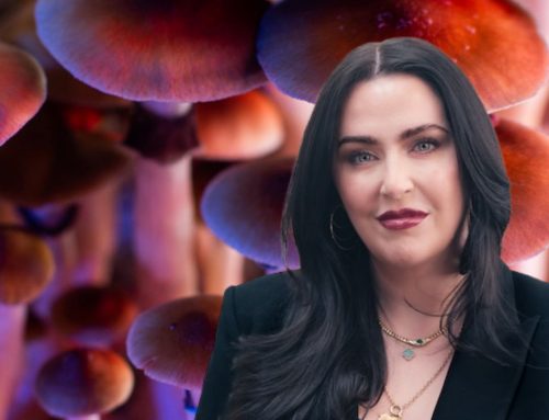 Ex-Prosecutor Calls for Psilocybin Therapy Legalization in NY