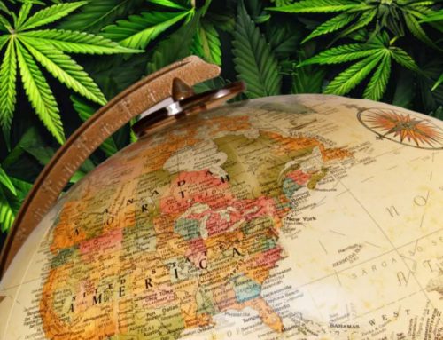Global Cannabis Market Tightens Amid Surging Demand and Supply Snags