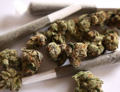 Pre-Rolls Claim Top Spot in Canadian Cannabis Sales, Signal Shift Across the US