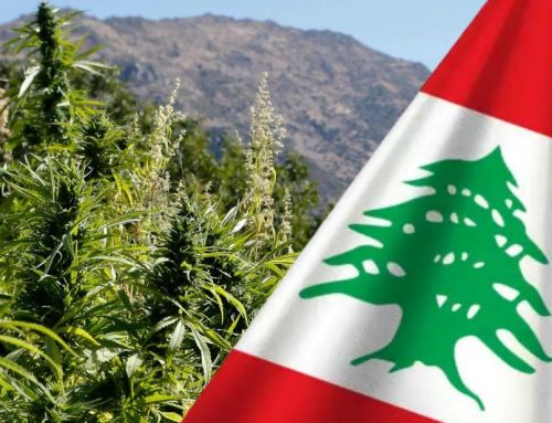 Lebanon Legalizes Cannabis, Forms Oversight Body, Targeting $1B in Annual Revenue