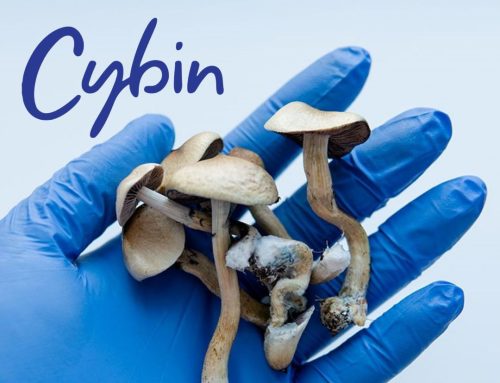 Cybin Raises $175M in Direct Offering, Reinforcing Psychedelic Pipeline