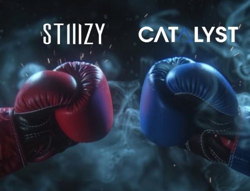 Stiiizy Halts Sales at Catalyst Outlets as Leadership Clash Deepens