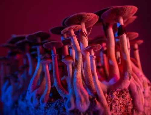 New Jersey Assembly Panel Clears Path for Psilocybin Therapy Program