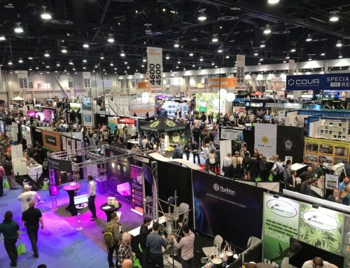 How to Make the Most of MJBizCon? Take Full Advantage of LinkedIn