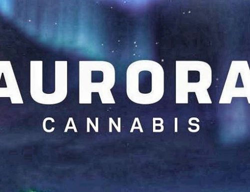 Aurora Cannabis Reports Q2 FY2026 Financial Results