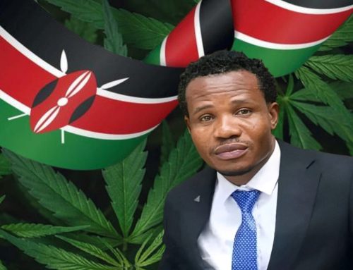 Kenyan MP Advocates for Regulated Cannabis Framework