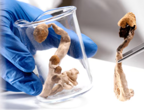 Psychedelics Advance in Federal Arena as Trials and Policies Align