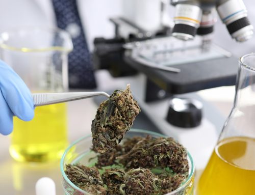 CMI Projects Double-Digit Expansion for Cannabis Testing Market