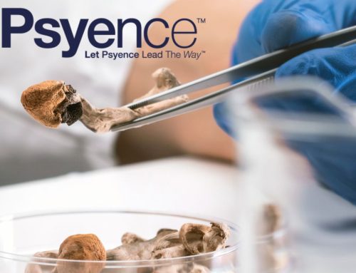 Psyence BioMed Ventures into Psilocybin’s Role in Aging Research