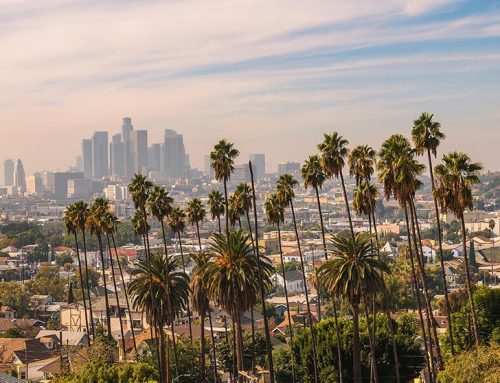 California DCC Grants $1.8M to UC Berkeley and Glass House Brands for Cannabis Yield Study