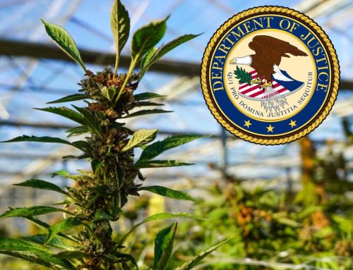 DOJ Keeps Silent on Cannabis Rescheduling Updates