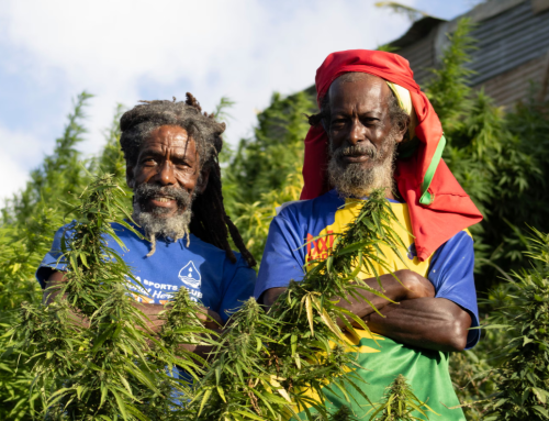 Grenada Decriminalizes Cannabis