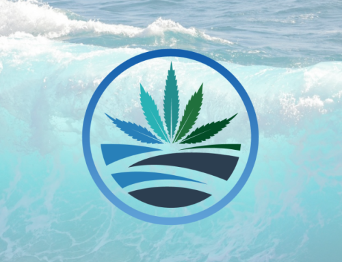 High Tide Reports Q4 and Full FY 2025 Financial Results