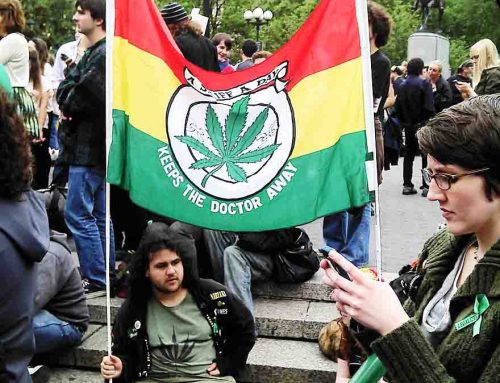 Who Will Decide Cannabis Legalization? The Math Will.