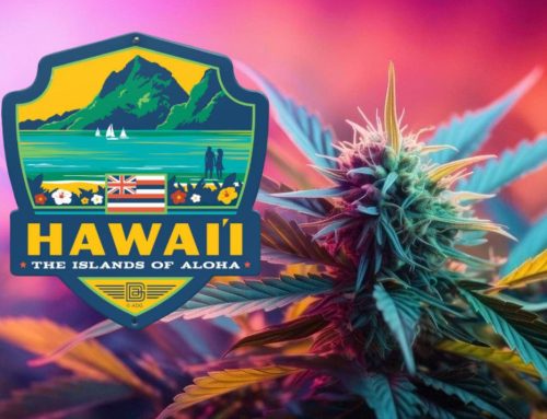 Hawaii Lawmakers Advance Voter Measure on Rec Cannabis Legalization